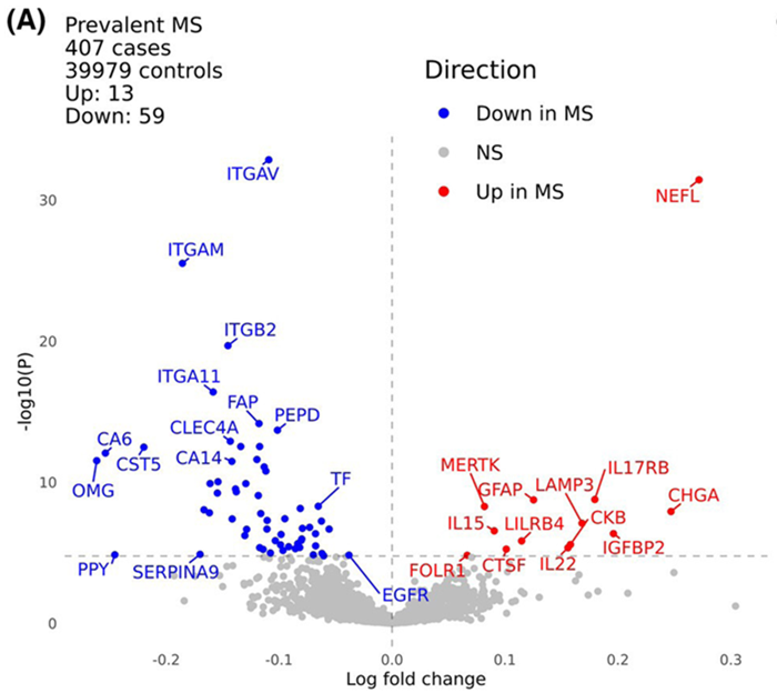 Plasma proteomic analysis of multiple sclerosis. Volcano plot displaying differences in plasma levels of proteins measured with Olink proteomics between UK Biobank participants with (n = 407) and without (n = 39,979) MS at the time of sample collection. The x-axis indicates the log-fold change of the protein (values above 0 indicate proteins present at higher levels in the MS cohort, while those with values below 0 present at higher levels in the control cohort). The y-axis indicates the negative log of the p value for each protein (higher values indicate a more statistically significant result). Proteins surpassing a Bonferroni-corrected threshold of 5 % are shown in color; other results are shown in gray