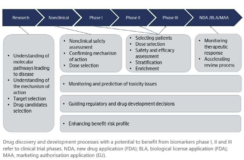 The potential application and benefits of biomarker utilization in various clinical trial phases