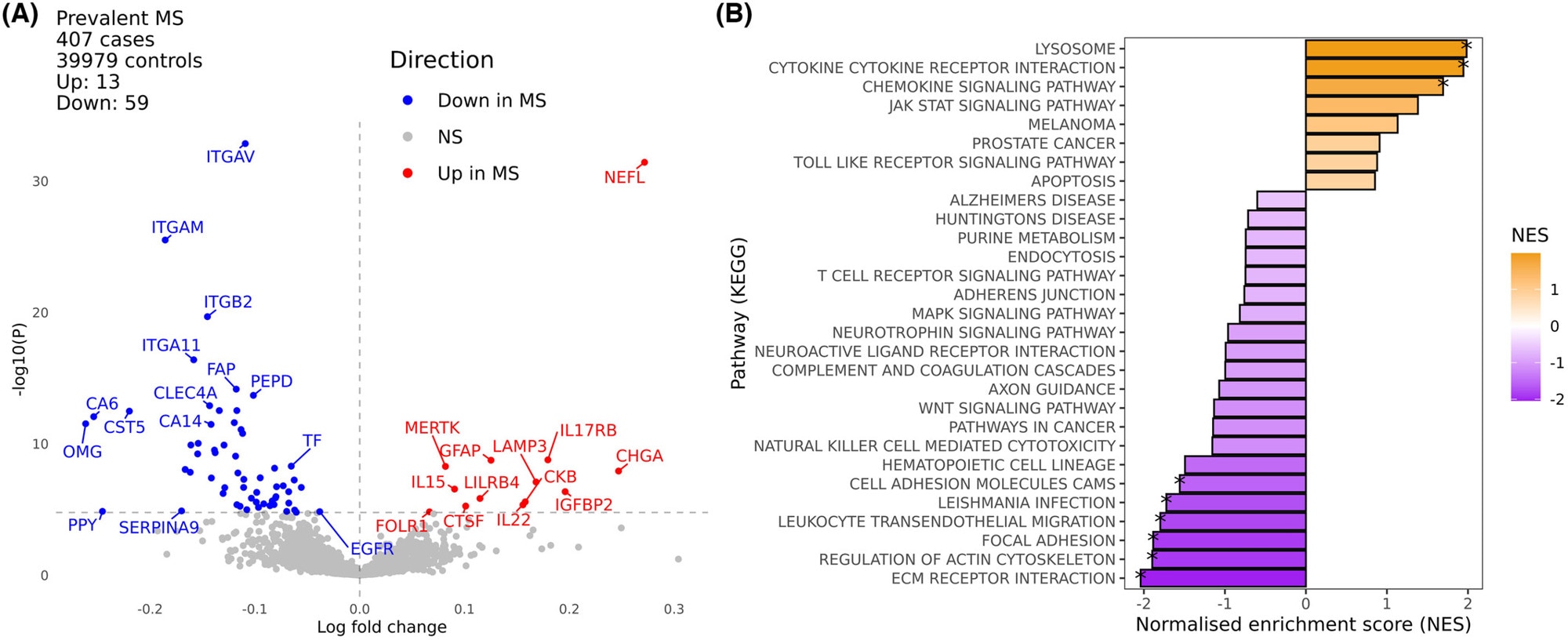 Plasma proteomic analysis of multiple sclerosis. (A) volcano plot of differences in plasma proteins in UK Biobank participants with (n = 407) and without (n = 39,979) MS at the time of sampling. (B) Gene set enrichment analysis of pathway level differences in the plasma proteome between MS and healthy controls
