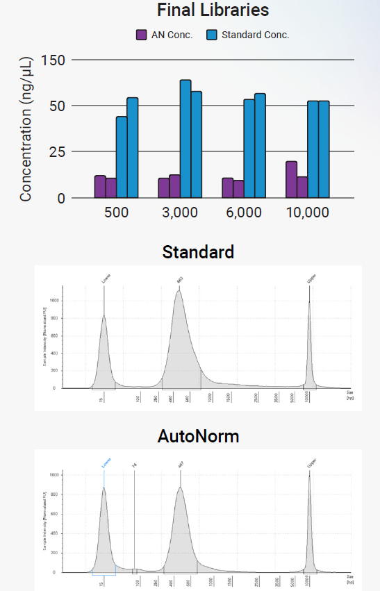 Final library quality control. AutoNormalized libraries provided sufficient quantities of final library for sequencing (top) and maintain the same quality as determined by Tapestation (bottom)