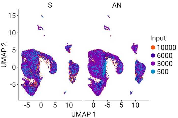 Clustering of all samples reveals common gene signatures. Clustering of all 16 samples revealed no differences between the standard PCR method (S) and AutoNorm (AN), showcasing that the change in workflow does not negatively affect data quality