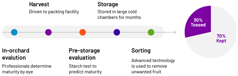 Commercial apple supply chain illustration, indicating 30% of apples are tossed, while 70% are kept.