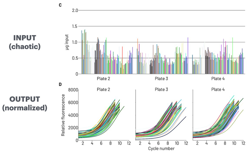 Plant-derived RNA samples ranging from 0.5-1.5 micrograms (INPUT) were amplified on icon96. The stop cycle for each sample was dynamically selected using AutoNorm based on the slope of the amplification curves (OUTPUT)
