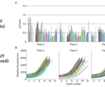 Reducing RNA-seq costs in large-scale fruit maturation studies