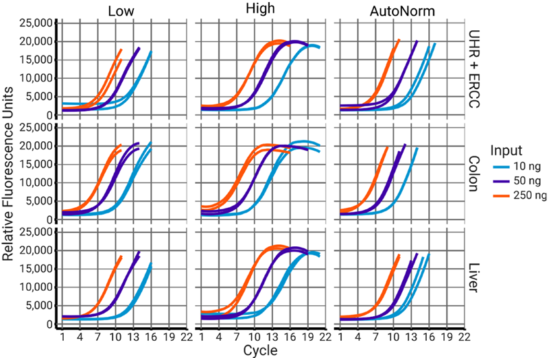 iconPCR enables optimized workflows with built-in safeguards against overamplification. Libraries amplified under standard low-cycle conditions terminated near or before the start of the plateau phase. Samples subjected to higher cycle numbers became overamplified, as expected. In contrast, iconPCR with AutoNorm accurately terminated all reactions during the linear amplification phase, preventing overcycling and preserving library quality