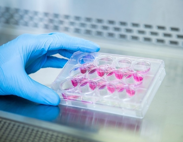 Decision making-based image analysis to automate cell culture passaging