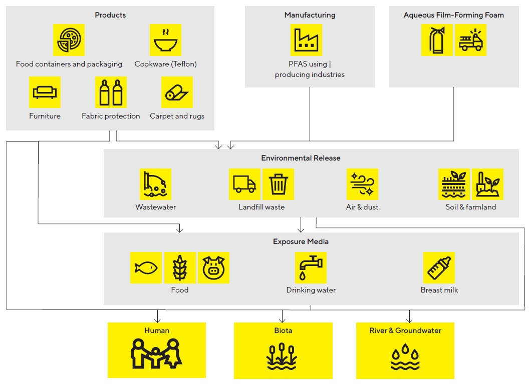 Main PFAS Exposure Pathways for Humans and Biota