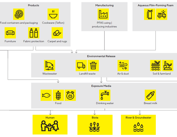 Ensuring reliable PFAS analysis with Sartorius lab water purification systems