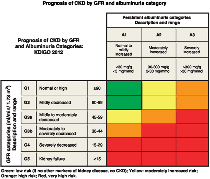 Prognosis of chronic kidney disease by GFR and albuminuria category. This figure was developed by Kidney Disease Improving Global Outcomes (KDIGO) and reproduced with permission from KDIGO