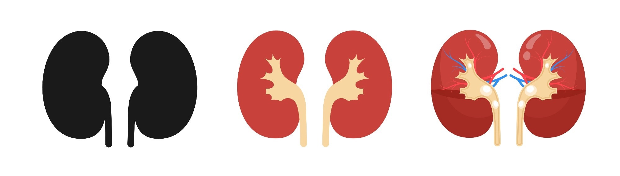 Image Credit: 4zevar/Shutterstock.com