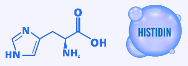 Rapid protein quantification for His-tag protein expression screening