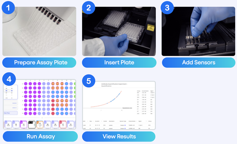 Touchscreen-Guided 5-Step Workflow on the Amperia™ Platform. From plate setup to final data export, Amperia guides users through a consistent, step-by-step process - no external software or specialist training required. The built-in interface streamlines assay setup, run execution, and result analysis across all supported formats