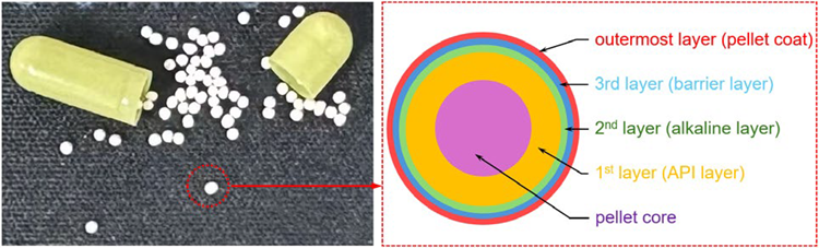 Cross-sectional schematic diagram of the multi-layer structure of the pellets