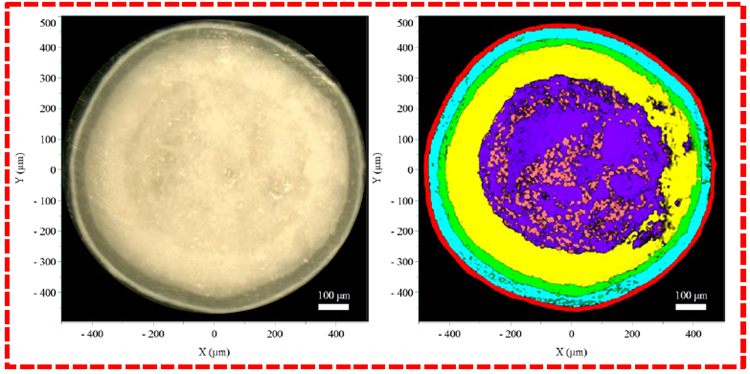 Results of the reference (outlined in red) and generic (outlined in blue) pellets. The left panel shows the video image, and the right panel shows the Raman image