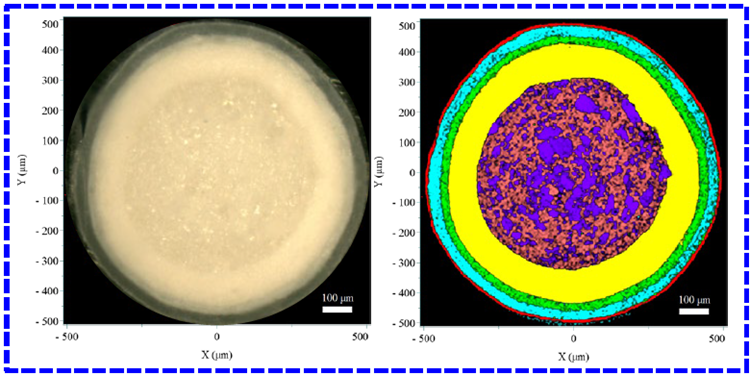 Results of the reference (outlined in red) and generic (outlined in blue) pellets. The left panel shows the video image, and the right panel shows the Raman image