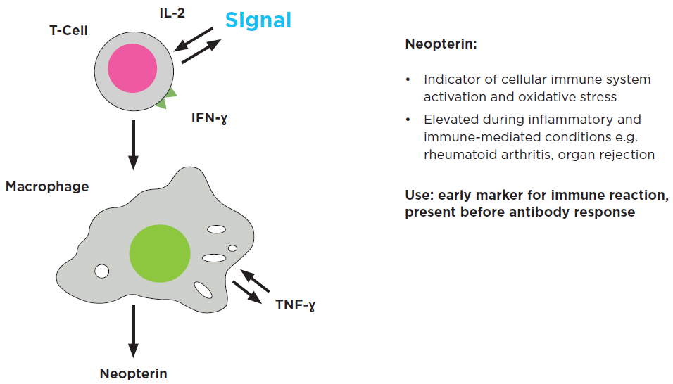 Neopterin is an early marker for immune activation