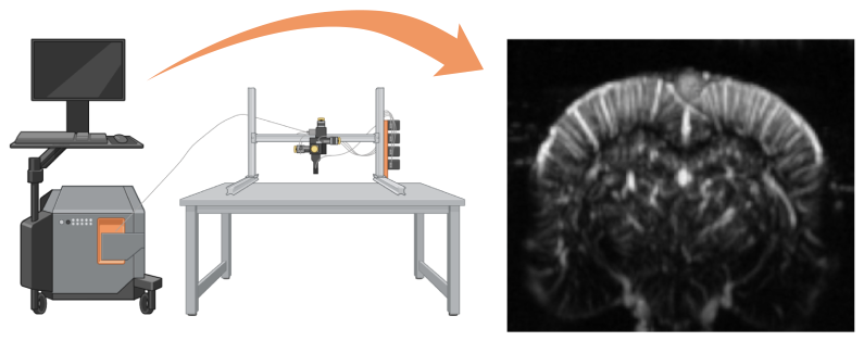 Although the concept of fUS was only proposed in 2011, it has rapidly progressed to be a fully-fledged, user-friendly imaging technology that’s been widely adopted in labs worldwide for preclinical imaging of the brain. Using the Iconeus One imaging station (left) and the scanning platform (center), it’s possible to visualize the brain vasculature (right)