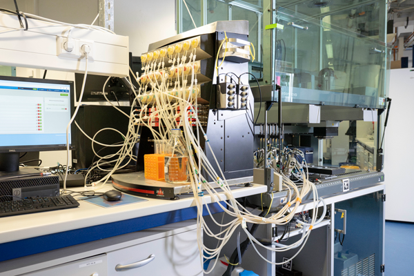 Building an automated platform for bioprocess development and downstream analytics with the BioXplorer 100