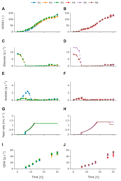 Output graphs from BioXplorer 100 analysis