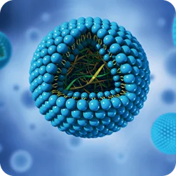 Lipid nanoparticles in drug delivery