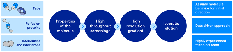 Downstream processing strategy for new molecular formats