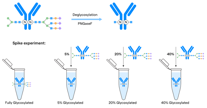 Method evaluation strategy using spiking for quantitative glycosylation