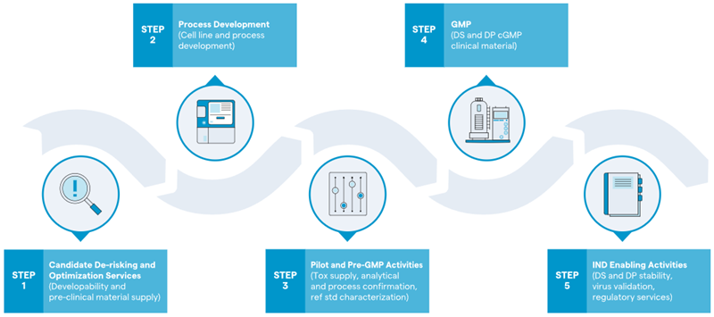 Biologics development pathway, from bench to clinic