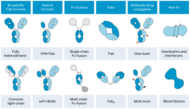 Examples of molecular modalities Lonza has experience in