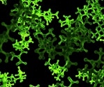 Host cell protein (HCP) in biomanufacturing