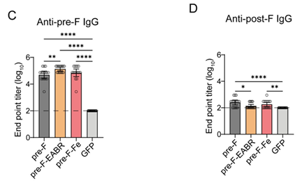 Sino Biological Recombinant Pre-F and Post-F proteins were used as ELISA coating antigens to distinguish preF-specific and postF-specific antibody responses elicited by RSV mRNA vaccine candidates