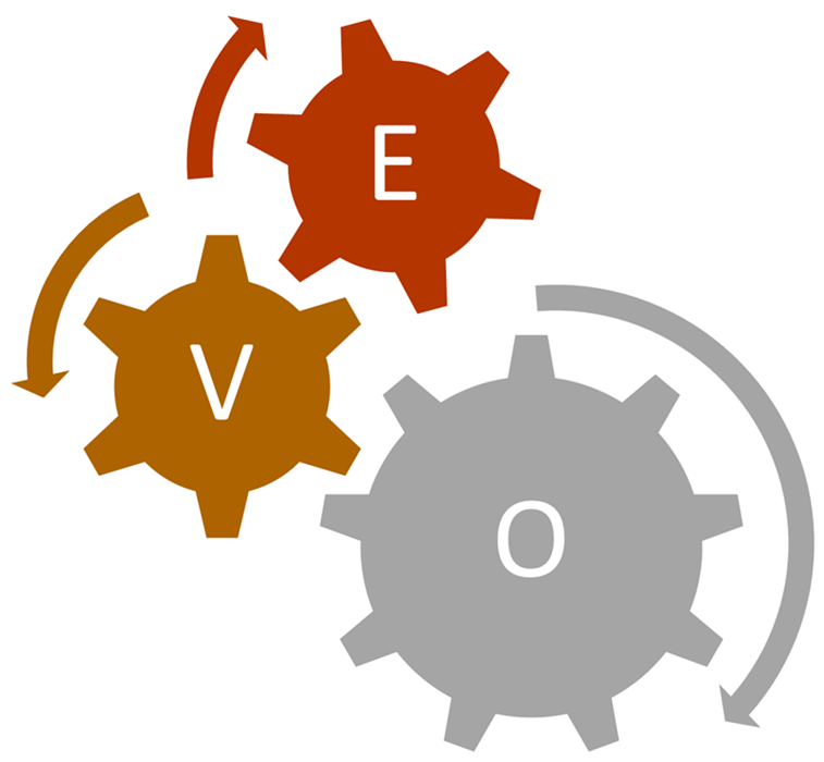 Empowered Value-Driven Organization (EVO)