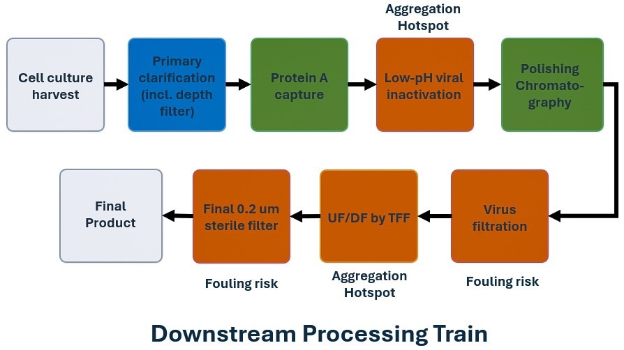 Protein downstream processing schematic highlighting low-pH viral inactivation and UF/DF as major aggregation-sensitive steps, and virus filtration and post-UF/DF filtration as the main fouling-sensitive steps.