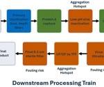 Optimizing filtration and fouling diagnostics in biopharma downstream processing through inline aggregate monitoring