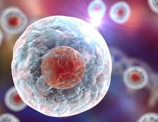 Understanding plate, droplet and microwell approaches in single-cell RNA sequencing