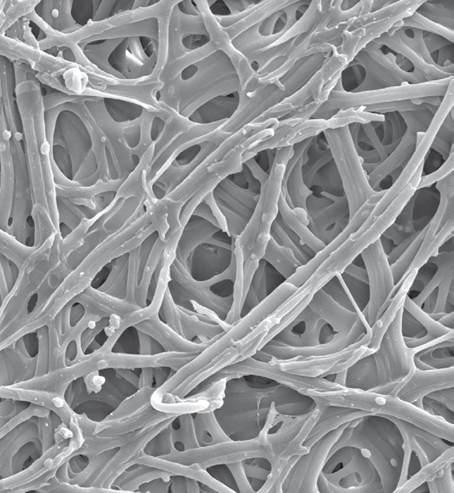 Close-up image of collagen