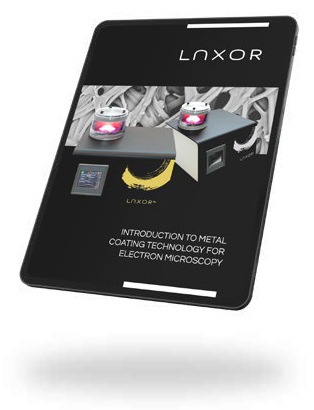 Luxor
