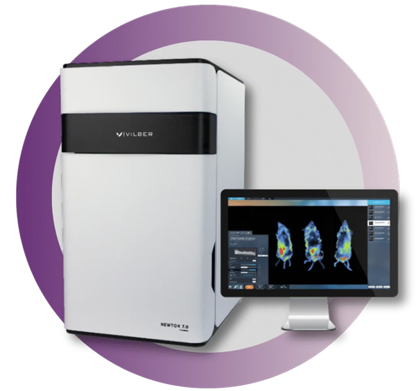 Long-term optical imaging of BCMA CAR-NK therapy dynamics