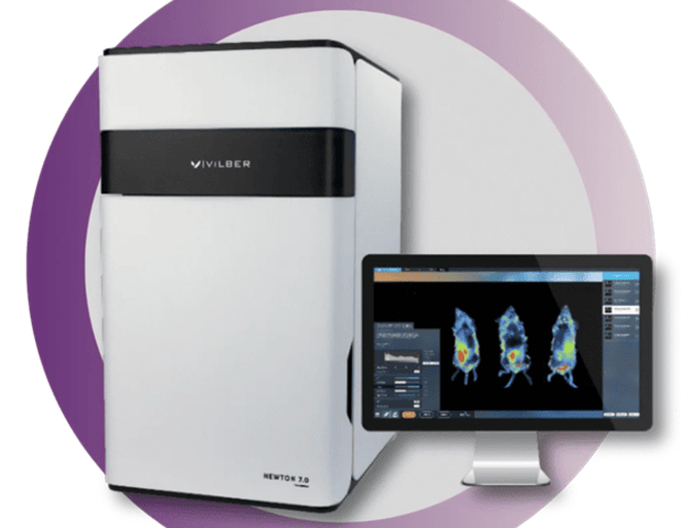Long-term optical imaging of BCMA CAR-NK therapy dynamics