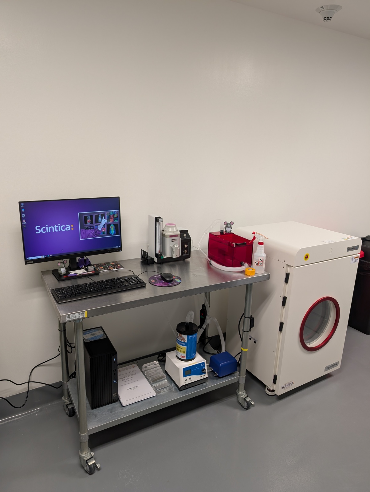 Longitudinal in vivo imaging with iNSiGHT DXA and RWD anaesthesia