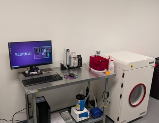 Longitudinal in vivo imaging with iNSiGHT DXA and RWD anaesthesia
