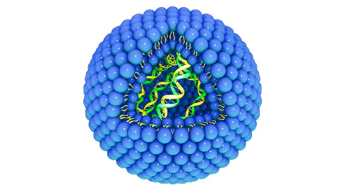 Gene delivery liposome with phospholipid bilayers