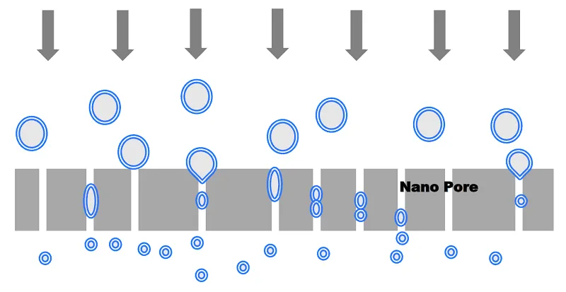 Schematic diagram depicting the liposome extrusion