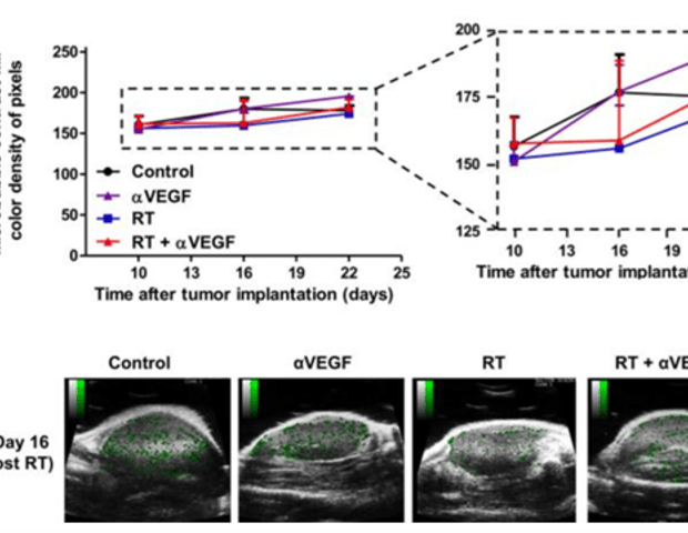 Non-invasive imaging of tumor vascular response