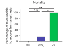 Effect of the Anesthetic Protocols on Mouse Survival. Mortality rate for each group indicated as the percentage of mice unable to recover from anesthesia over the total number of mice anesthetized.
