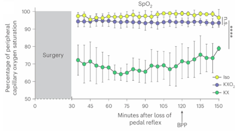 Effect of the Anesthetic on Mouse Vital Parameters. Oxygen saturation rate over time.