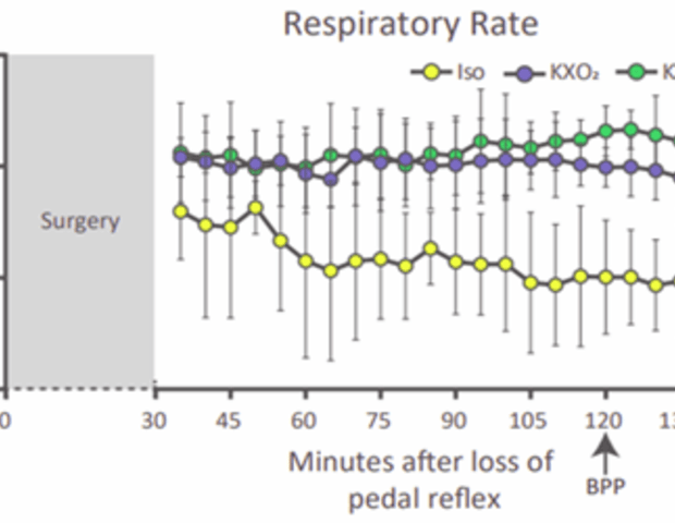 Comparing anesthetic effects in experimental mice