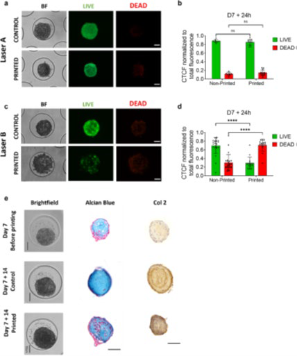 Spheroid laser-assisted bioprinting: Cell spheroids are imaged, targeted, and transferred by the laser to form a predesigned pattern