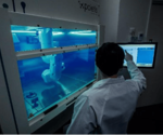 3D bioprinting for organoid and tissue development