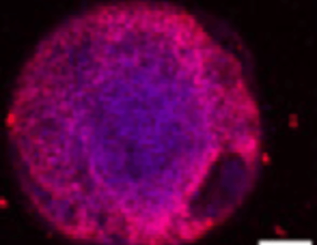 Laser-assisted bioprinting technologies supporting new approach methodologies (NAMs)
