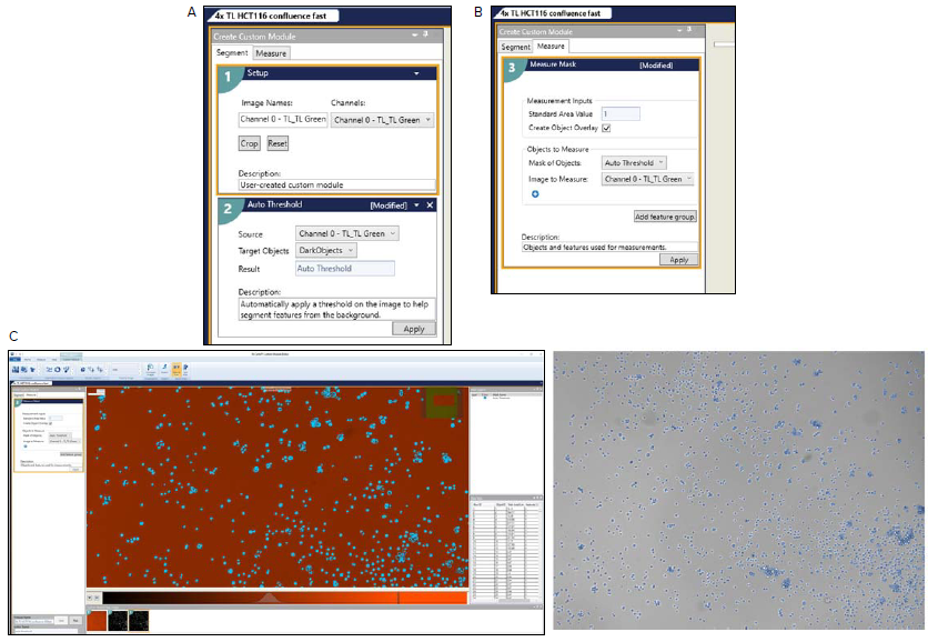 A. Custom Module Editor (CME) in the IN Carta software, showing the threshold setup. The Auto Threshold function is configured to detect DarkObjects in transmitted light images using TL Channel. B. Measure Mask configuration in the CME module, showing the selection of the Auto Threshold mask and Channel 0 (TL_TL Green) for quantifying segmented objects. The “Create Object Overlay” option enables visualizing measured features. C. The top image, showing the analysis interface with segmented cell objects overlaid on the transmitted light image and corresponding quantitative outputs, including object count, area, and perimeter, used to compute Total Area Sum for downstream decision-making. The bottom panel displays the corresponding TL image with the auto threshold mask applied, where blue overlays represent segmented cell regions identified as DarkObjects, enabling accurate quantification of cell area and density.